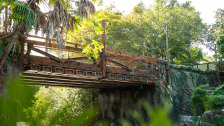 Illustration for article titled Disney's Avatar Theme Park Finally Opens Next Summer